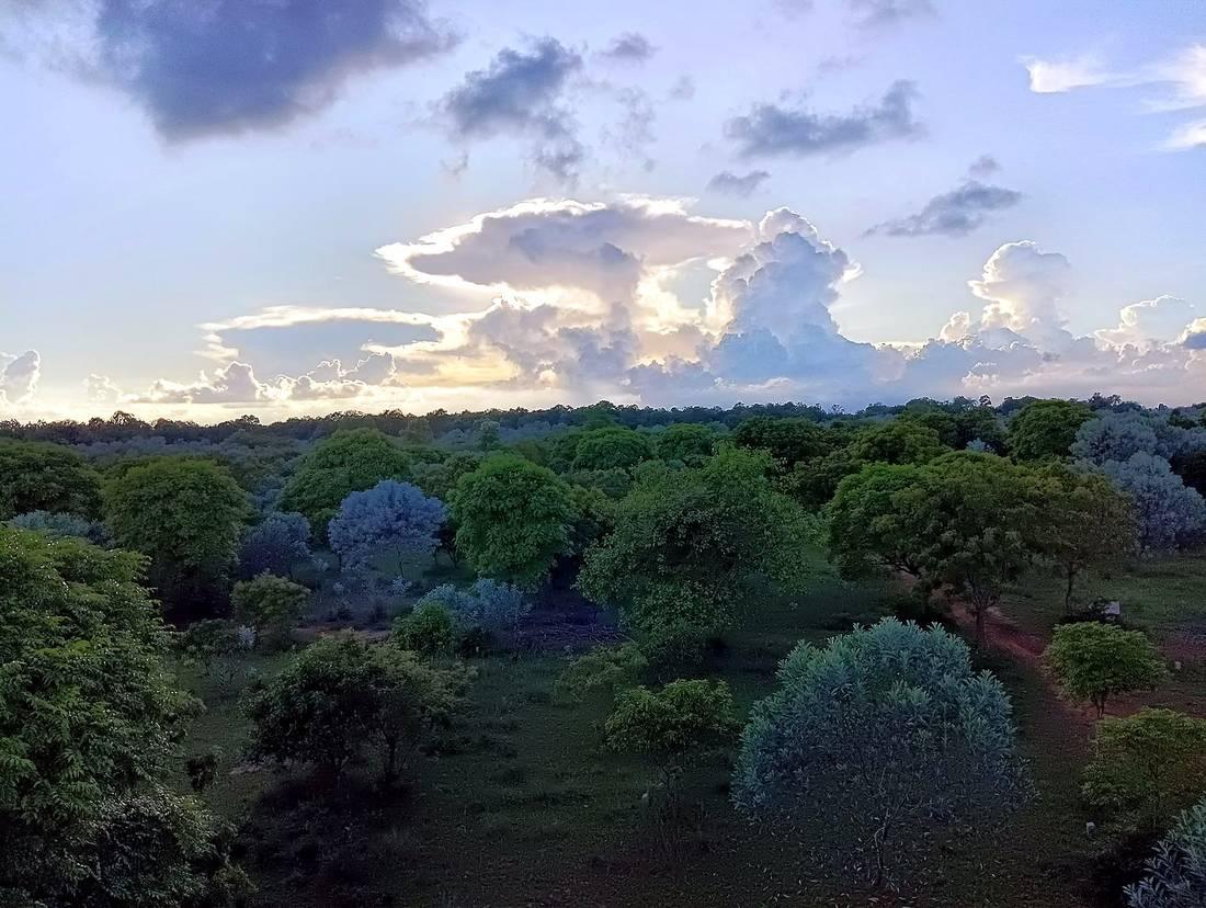 Storm clouds lit by the setting sun