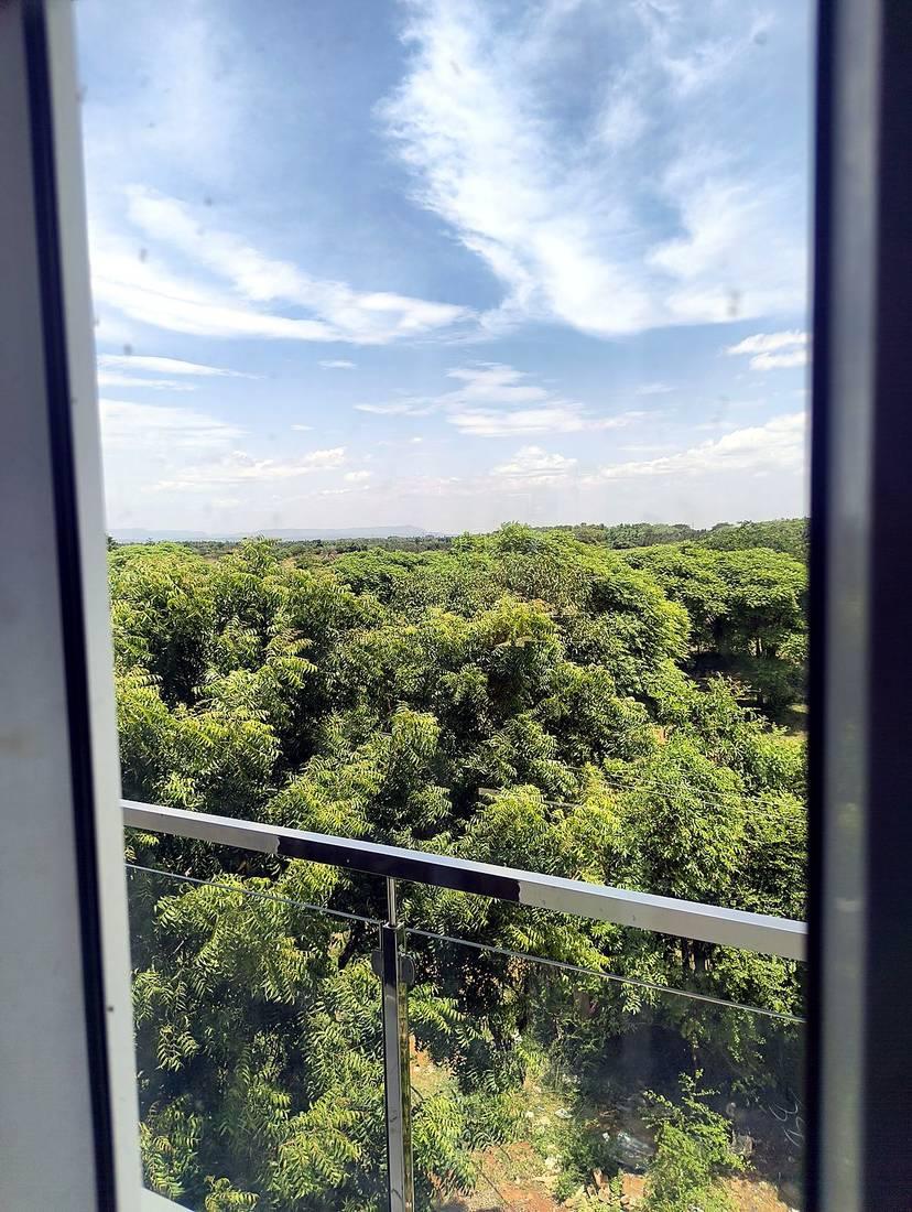 Green forest canopy and blue sky seen through a window at Vananta